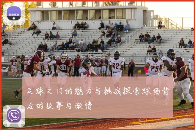 足球之门的魅力与挑战探索球场背后的故事与激情
