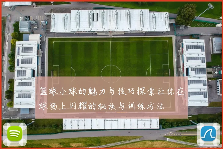 篮球小球的魅力与技巧探索让你在球场上闪耀的秘诀与训练方法