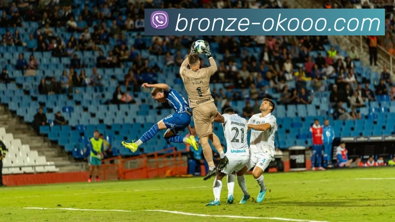 澳客平台生态图